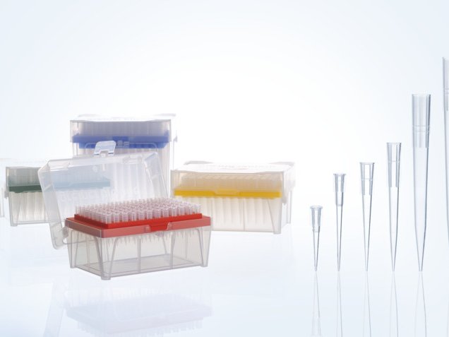 ����ʯϵ����ͷ