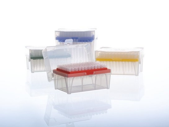 ����ʯϵ����ͷ